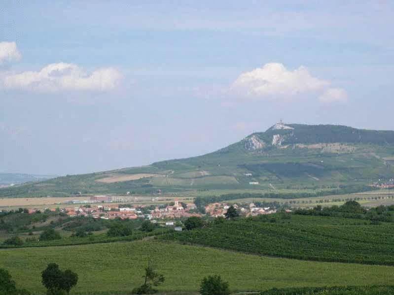 Penzion Barina Dolní Dunajovice Kültér fotó
